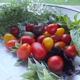 Spicy Tomato Jam Image